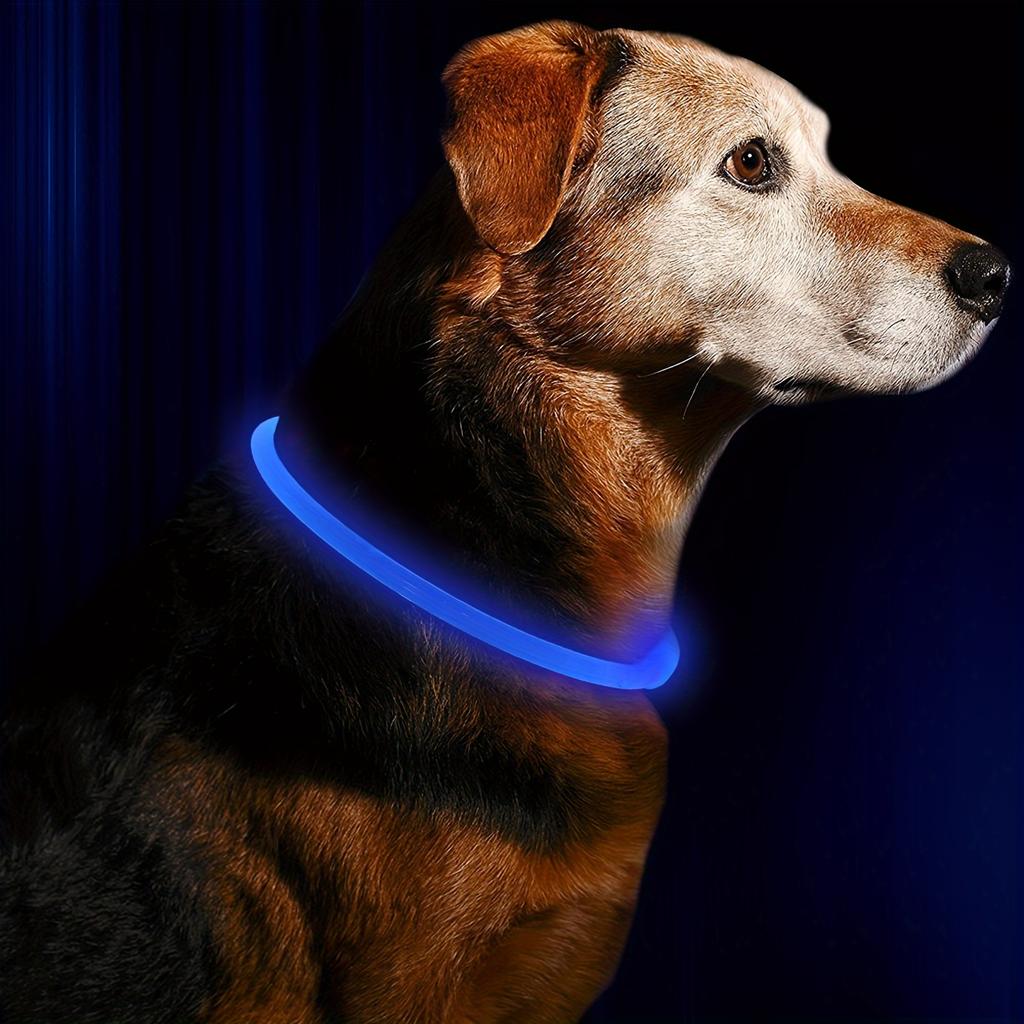 LED-Licht Halsband für Hunde, Nachtlicht Anti-Verlust-Halsband, Leuchtendes Halsband für Nachtspaziergänge, Sicherheitswarnung, Anti-Verlust-Hundezubehör