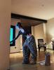 Korean INS Style Women's Soft Tiger Stripe Sweatpants - Cozy Winter Wear for Indoors & Outdoors
