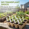 40pcs Peat Pot Seedling Tray Plantable Germination Cups With Labels For Vegetables Flowers Garden Backyard Balcony Greenhouse