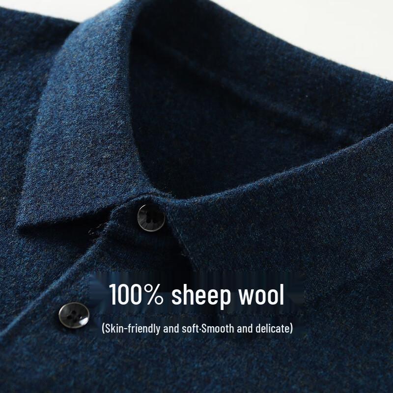 Antonio Men's Merino Wool Polo Sweater