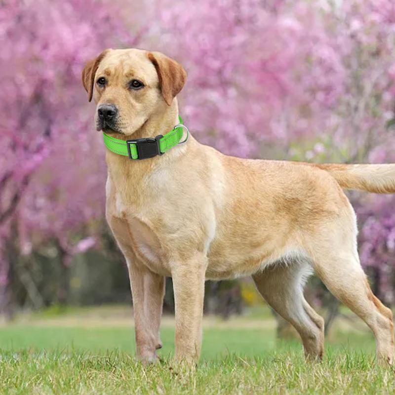 Reflective Dog Collar Adjustable Cat Collar Safety Nylon Pet Collar Durable Comfortable Reflective Pet Collar Pet Supplies