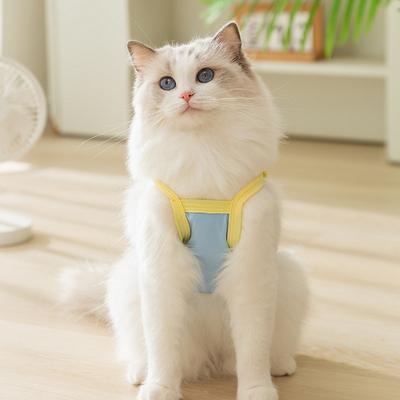 Dünner leuchtender Bären-Sonnenschutz, atmungsaktiv und kühl, Hosenträger mit zwei Beinen, Muppet, blaue Katze, Haustierhund, Sommer-Katzenkleidung