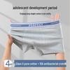 Teen Boys' Antibacterial Cotton Boxer Briefs (Ages 15-18)