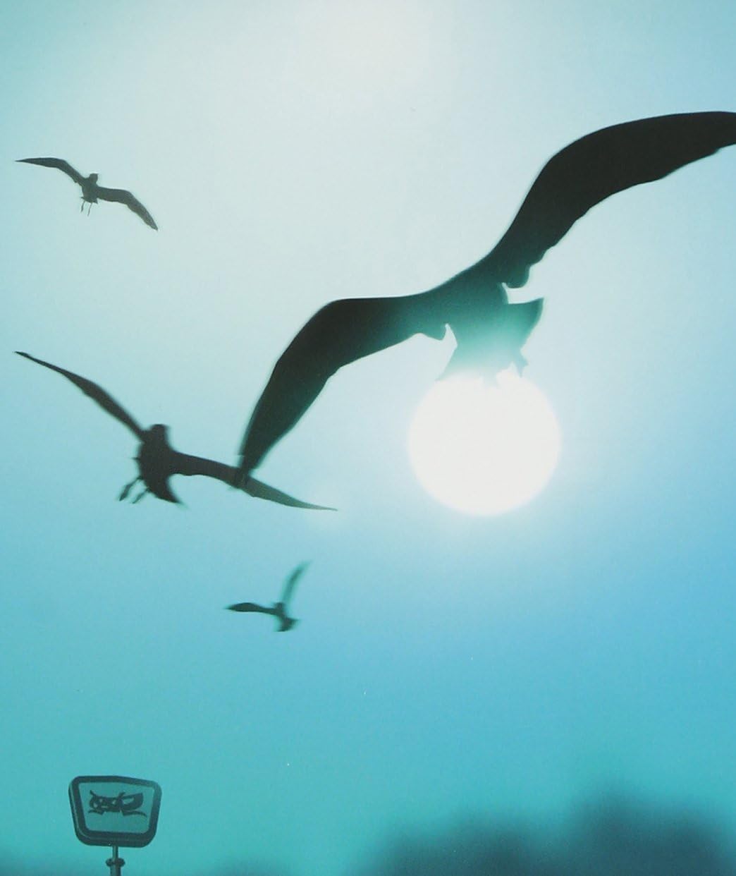 

CD - К бесконечному завтра(shokaiseisang TOCT40062 Япония ОбиЯпонская поп/рок Б/У