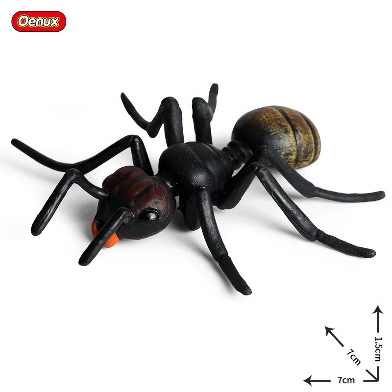 Oenux Simulation Dragonfly Grasshopper Centipede Wild Insect Animals Model Action Figures Miniature Education Collection Kid Toy