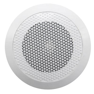 Zhengxin'an Haiwan XD5-4C Concealed Ceiling Speaker