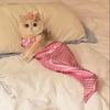 Sirena Gatto Crossdressing Costume da Bagno Divertente Forma a Coda di Pesce Bikini Carino Vestiti per Animali Domestici Cane Costume di Halloween per Animali Vestiti per Gatti