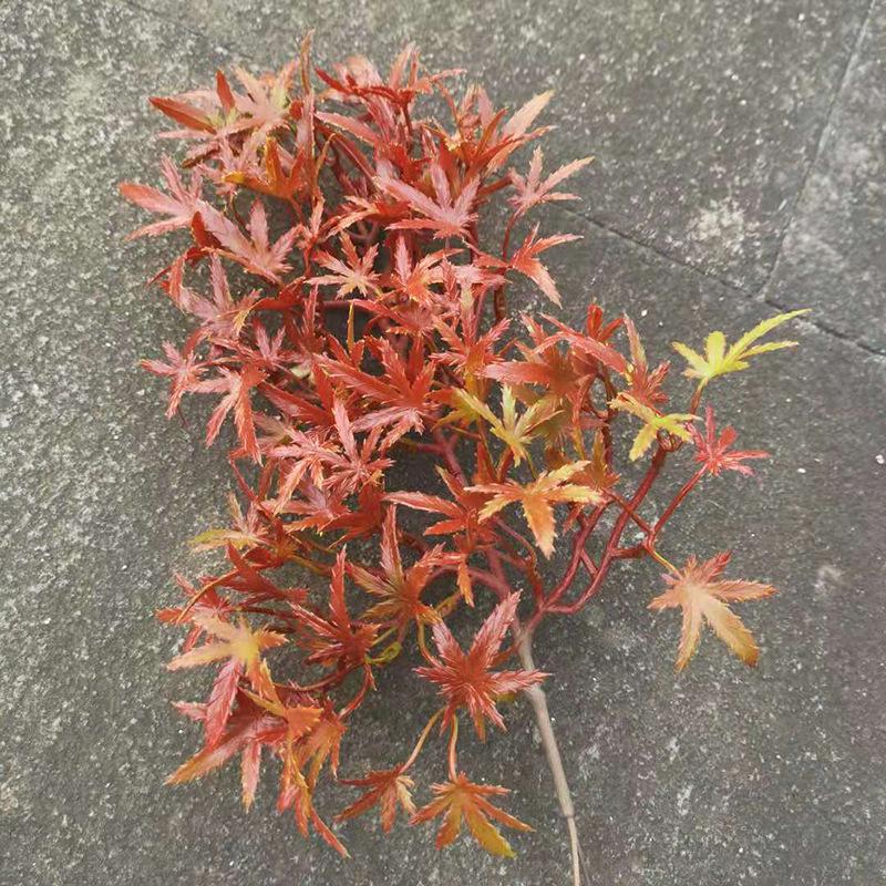 Ramură Artificială de Pin cu Frunze de Arțar și Accente de Chiparos