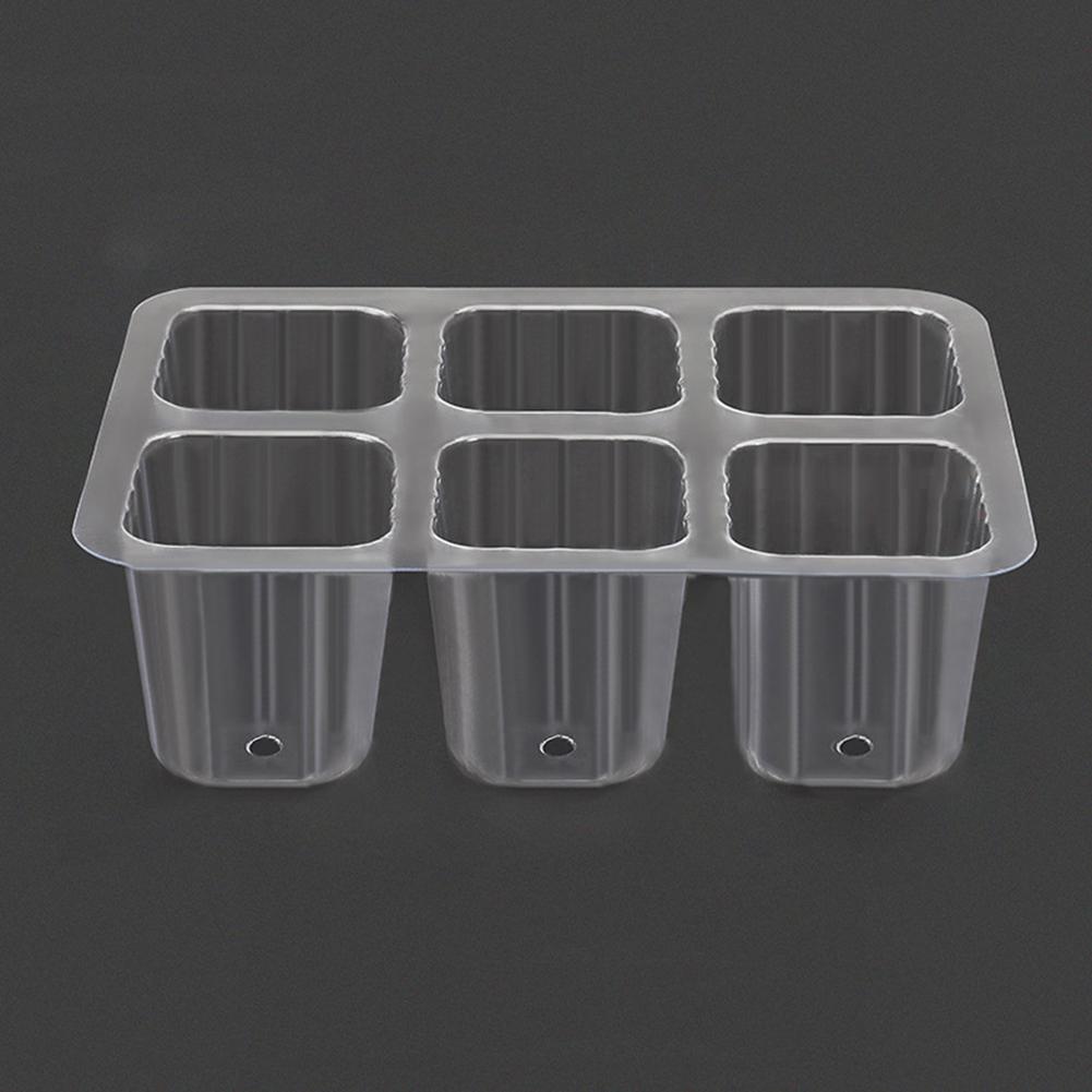 6/12 Holes Seed Starter Tray with Elevated Lid Seedling Starter Trays Gardening Grow Germination Box for Plants Indoor