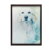 Poster Golden Friend Poster Golden Friend, 70X100 Cm, Unframed, Premium Canvas On Stretcher