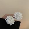 High-End Autumn/Winter 2025 Pearl Stud Earrings: Luxurious & Simple Niche Design for Women