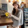 Fur Vest Women's Autumn and Winter Imitation Fox Fur Vest Jacket Fashionable Warm Outer Wear Fur Vest