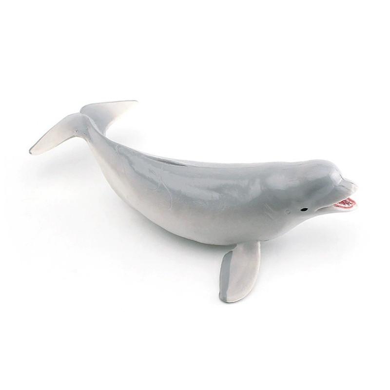 Marine Animal Replica White Whale Shark Static Model For Aquarium Display And Marine Education