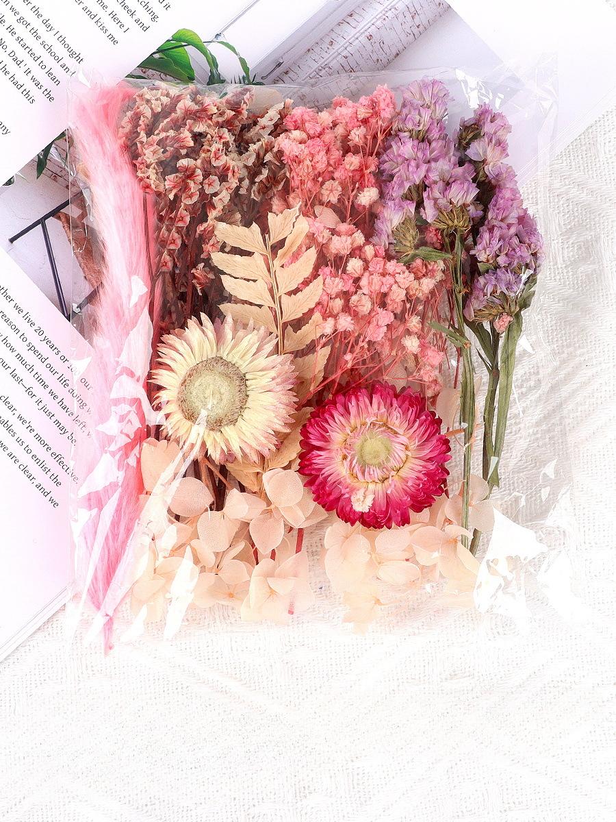 

Натуральні Рослини Сушені Квіти Зоряного Неба Збережені Матеріали Набір Епоксидна Смола Свічки Мило DIY Флористичні Матеріали Набір Сушені Квіти рожевий