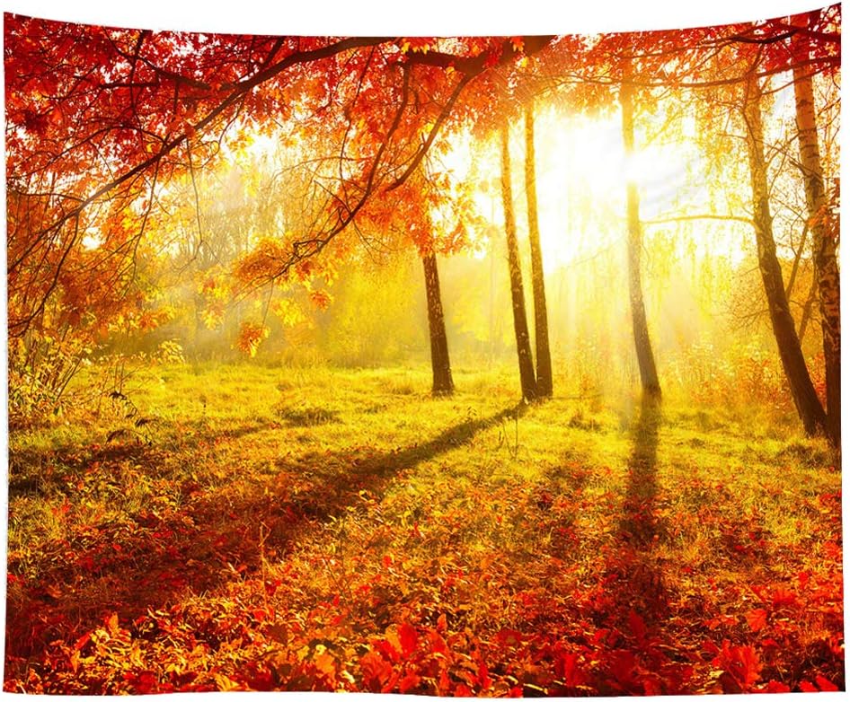 Landscape Tapestry Autumn Season Fall Trees with Morning Fog in Forest Relaxing Art Nature Photo Home Wall Hanging Decro for
