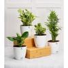 Combo of 4 Self Watering Flower Pots for Plants | Plastic Plant Pots | Planter Pots for Home, Indoor Living Room,Garden