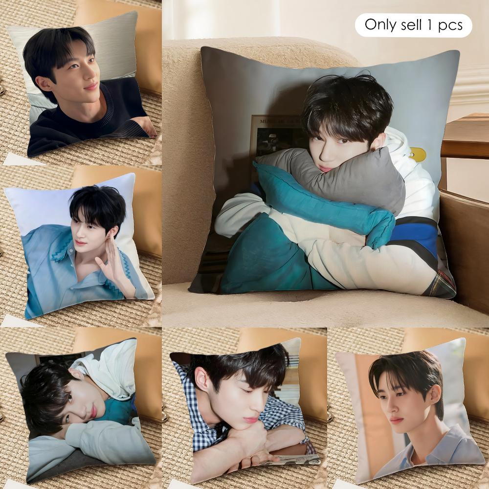 Happy Adults Toys Unisex B-Byeon W-Woo-Seok Korea Cushion Cover Silky Short Plush Invisible Zipper Dustproof Sofa Pillow Case For Home Decor