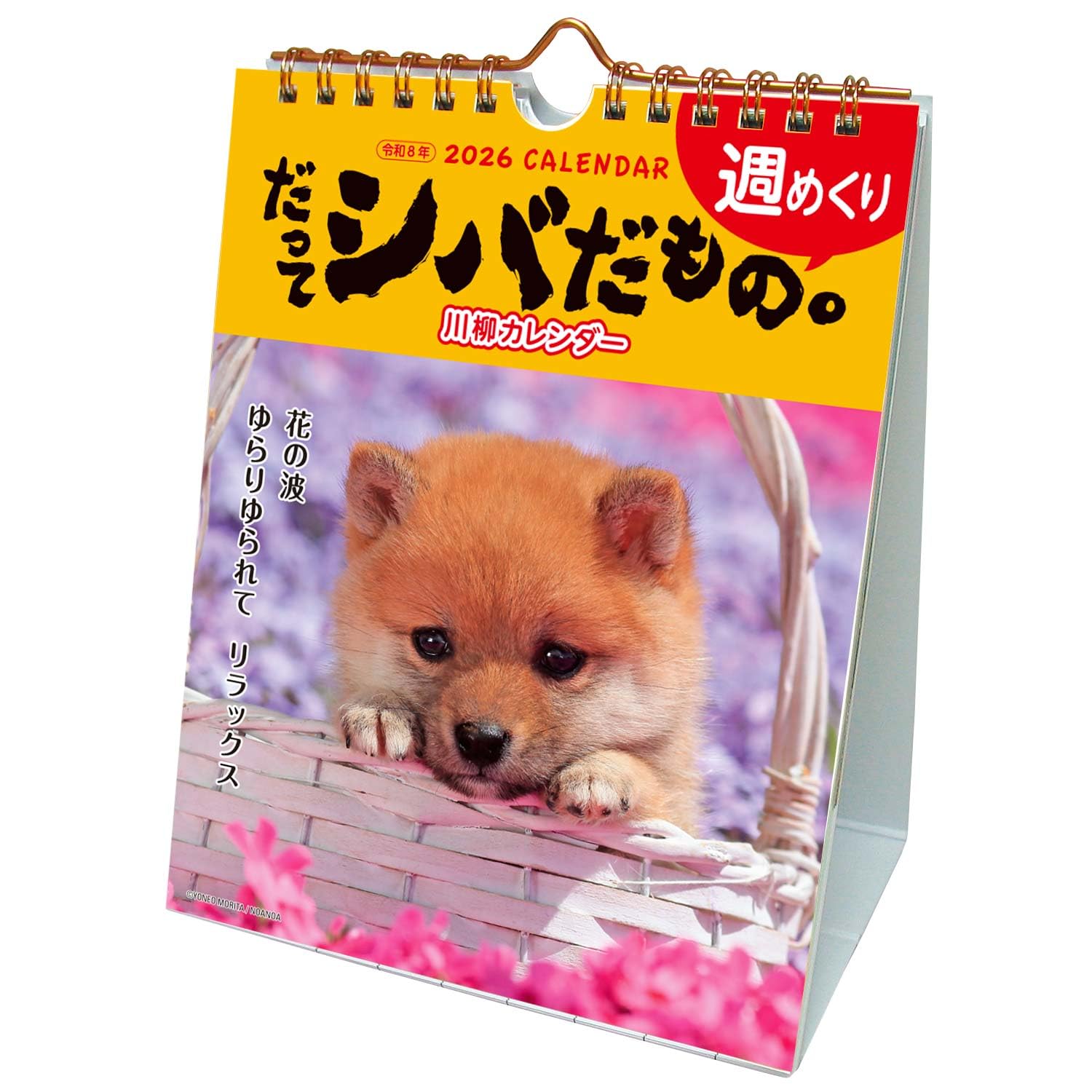 

Active Corporation 2026 Desk Calendar Starts January 2026 (Because it s Shiba) 26ACL-566