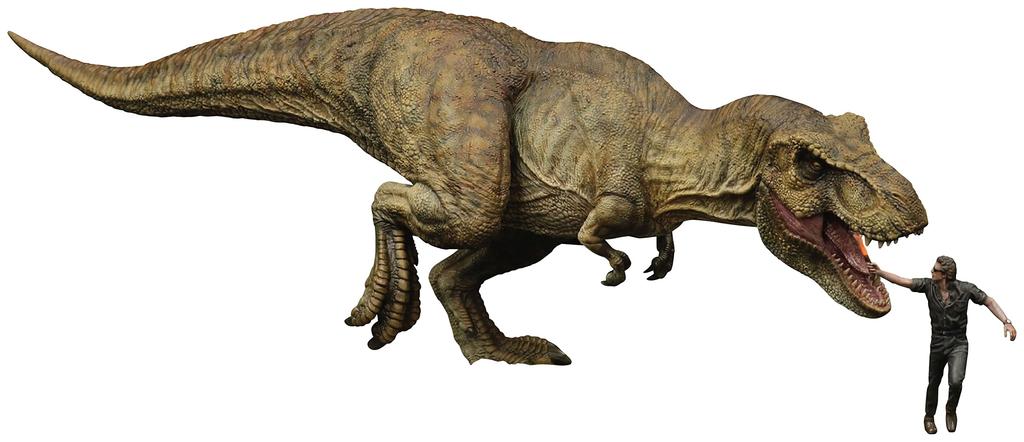 Jurassic Park Tyrannosaurus Rex scale unpainted plastic model kit X-Plus 1/35