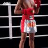 Muay Thai Shorts Shiny Durable Boxing Pants Martial Arts Training Kickboxing Men Women