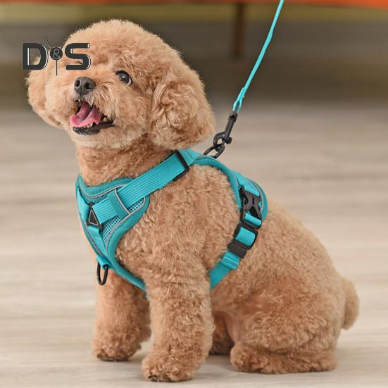 Cat Harness And Leash Reflective Strips Jacket Breathable Adjustable Vest Harness Escape Proof Easy Control Leash for Cats