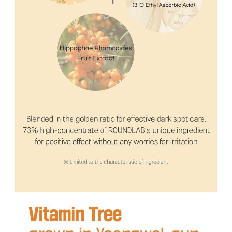 ROUND LAB Vita Niasinamid Leke Giderici Serum