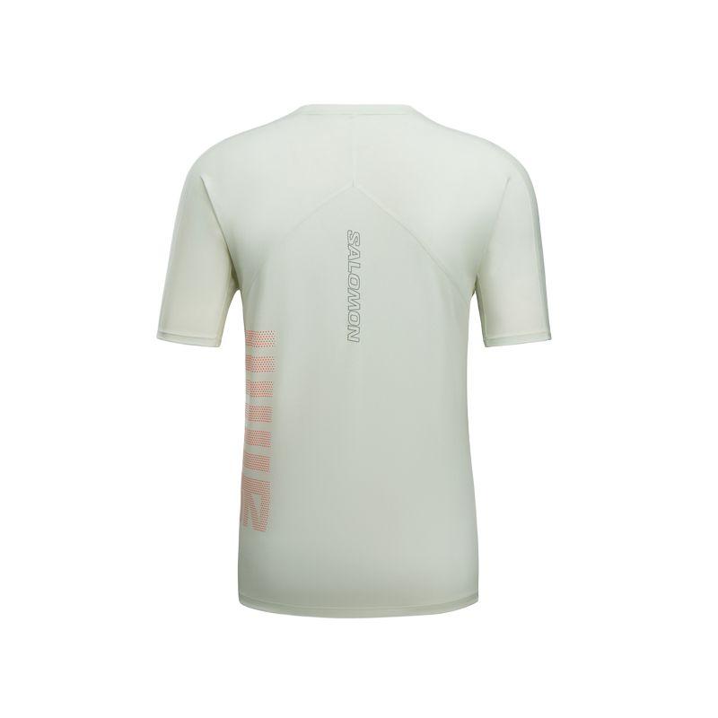 Salomon Sense Aero SS Quick-Dry Breathable Round Neck T-Shirt Men Tops Light-Ice-Green Neon-Red C26946