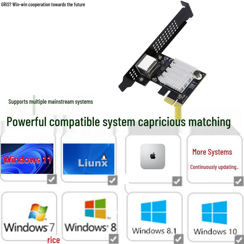 Placă de rețea Realtek RTL8127 10G PCI-E pentru Desktop și Server