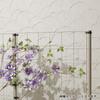 Takasho EG Lattice S909, 1x90x90cm, EG-LS909
