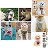 Soft Padded Dog Harness With Easy Hook And Loop Closure For Small And Medium Dogs