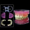Dental Model Standard Teaching Typodont Soft Gum Teeth Model Training Teeth Jaw Models 28 Removable Teeth Dentistry Lab Model
