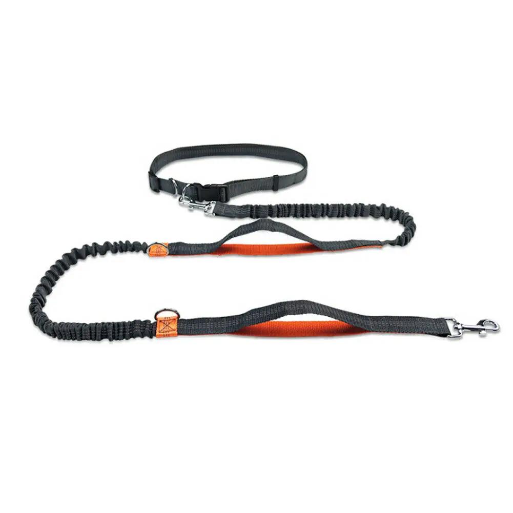 Reflective Leash Traction Pet Walking Running Elastic Adjustable Dog Leash Waist Belt Chest Strap Traction Rope Dog Accessories