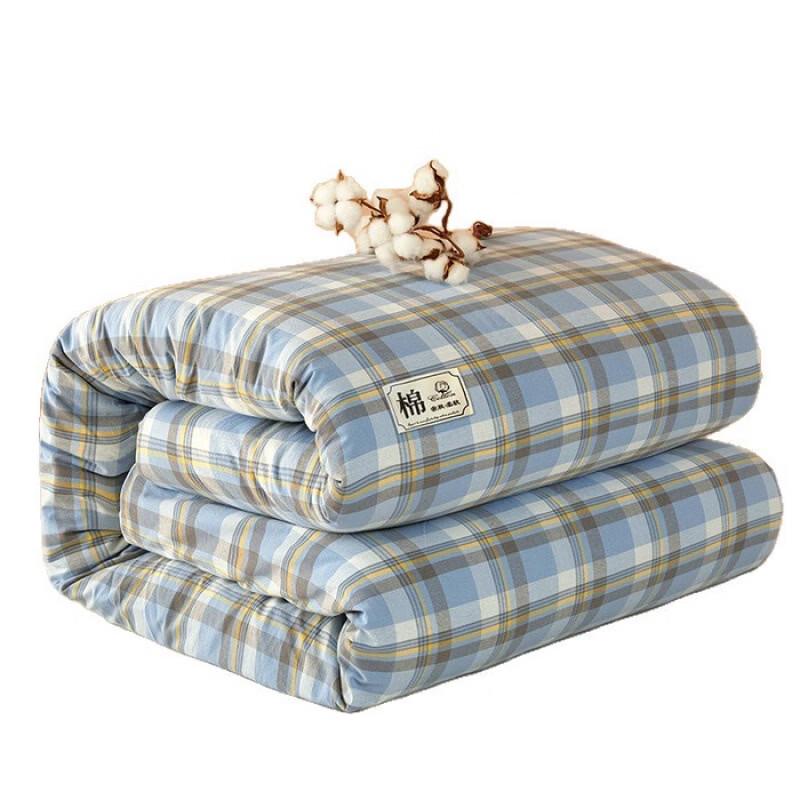 Oeny Thickened Xinjiang Cotton Spring/Autumn Duvet Insert