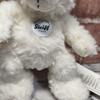 [USED] Steiff Lotte Teddy Bear, 18cm