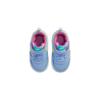 Nike Court Borough Low 2 TD Slip Resistant Abrasion Resistant Low top Toddler Shoes Blue Infant And Toddler BQ5453-405