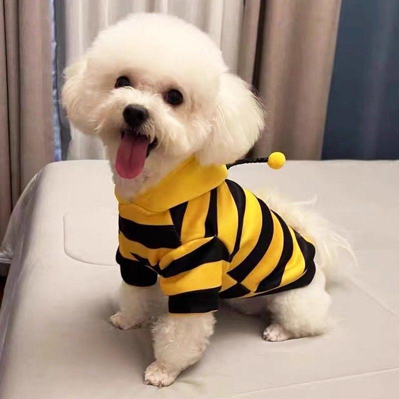1PC Pet Clothing Creative Fleece Material Funny Pet Sweatshirt Stylish Pet Apparel Bee Design Cat Lovers Yellow