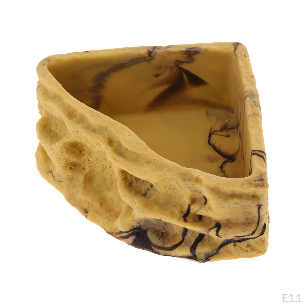 Food Dish Water Bowl Feeder Basin for Amphibians