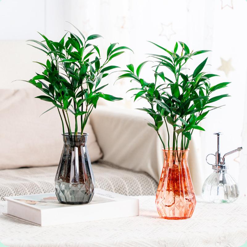 1 Pcs Creative Transparent Plastic Flower Vase Hydroponic Vase Living Room Desktop Decoration Wedding Centerpiece Arrangement