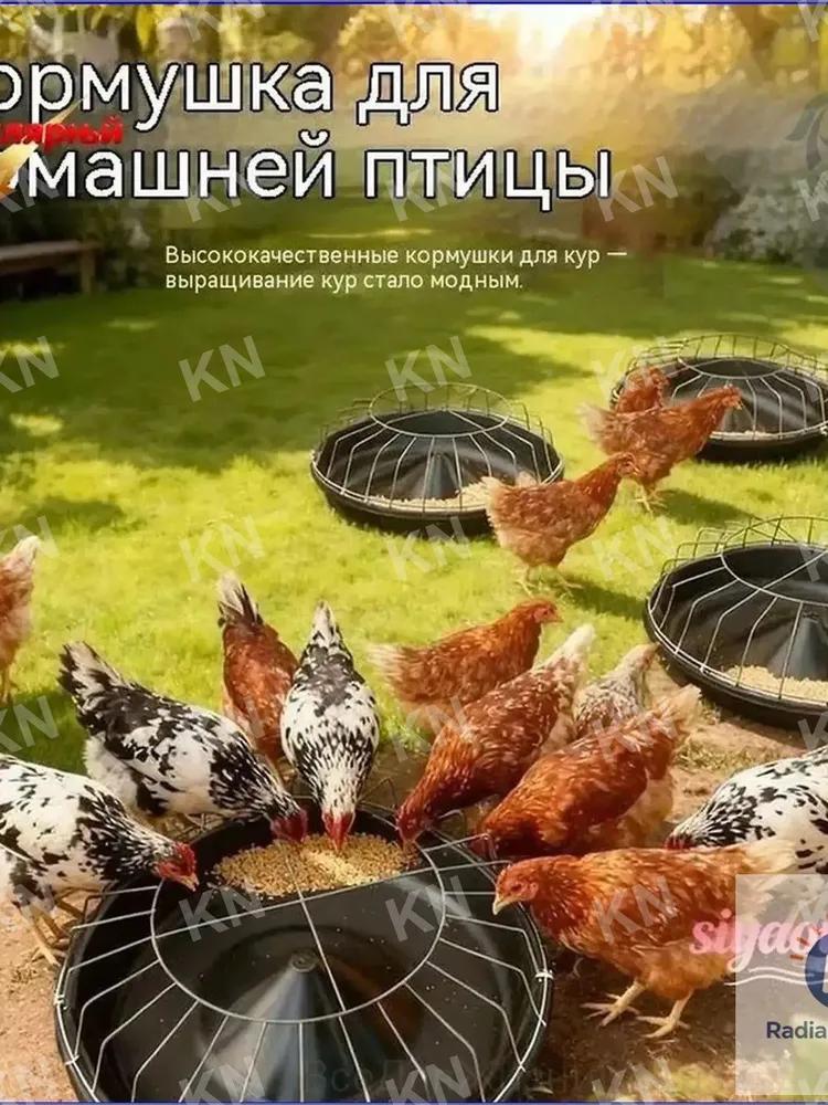 Livestock Feeder