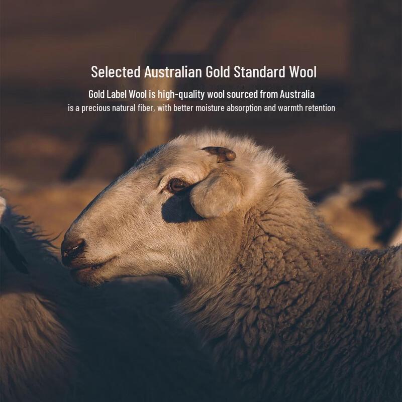 Mercury Home Textiles Gold Standard 100% Australian Wool Quilt