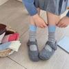 Cute Thick Warm Socks Cotton Soft Breathable Women Stockings Mixed-color Dot Colored Socks Autumn Winter