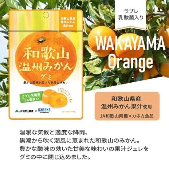 10er-Set Kaneka Foods Wakayama Unshu Mikan Gummibärchen Fruchtsaft Lactobacillus 40g 10 Beutel