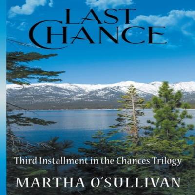 Last Chance by Martha OSullivan Paperback Book 9781736766729