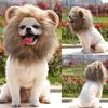 Lion Modelling Winter Autumn Pet Hat Wig Cap Hat Lion Mane Pet Cosplay Outfits Pet Costume