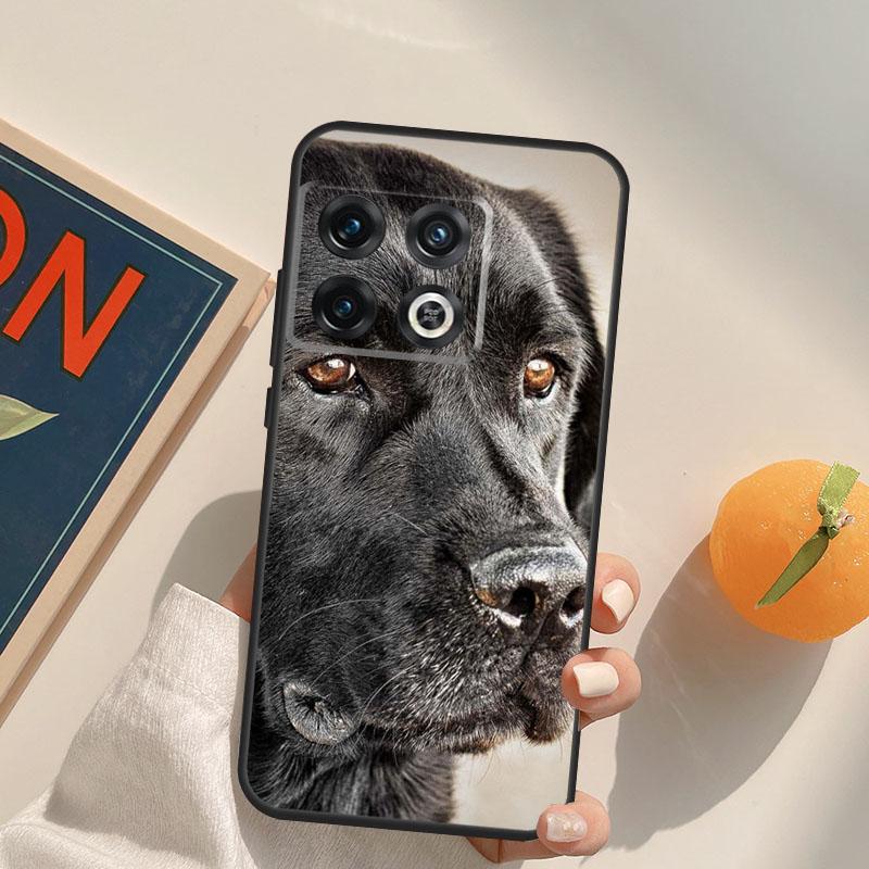 Schwarzer Labrador Retriever Tier Hund Hülle Für OnePlus 12R 13R 13T 10R 15 13 12 11 10T 8T Nord CE 4 3 2 Lite N20 N30 Nord 5 Hülle