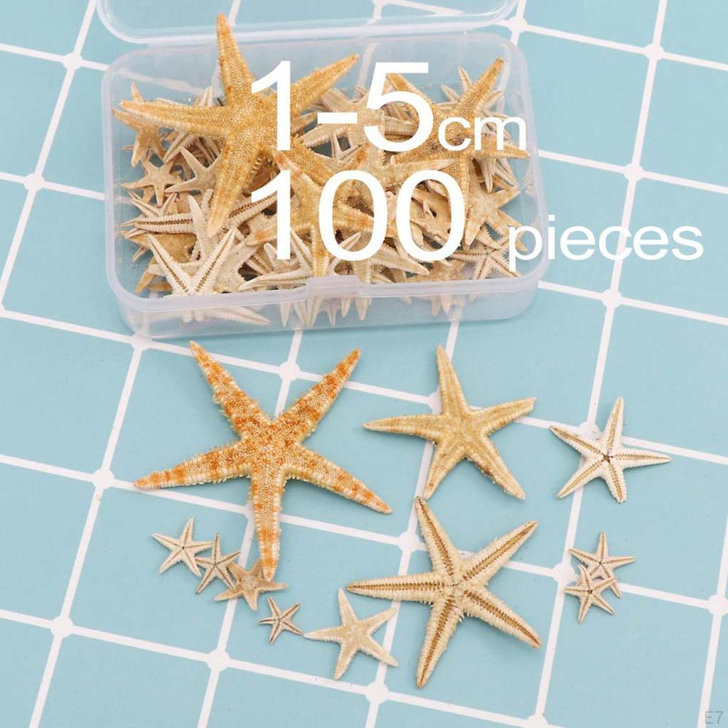 for Wedding Decor Beach Theme Party, Home Decorations,crafts, Fish Tank Landscape