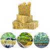 Professional Rock Wool Block Set for Hydroponic Farming and Gardening Applications