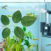 Betta Beds For Fish Tank Betta Fish Leaf Pad With Suction Cup Artificial Plant For Shrimp Guppy Sleeping Playing Hiding Spawning