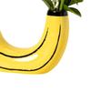 Simple Banana Vases Rainbow Vases Flower Arrangements Creative Home and Living Room Decorations Resin Crafts