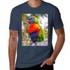 Rainbow Lorikeet Tshirt Plus Size Gym Sports Tshirt